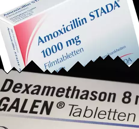 Amoxicilina contra Dexametasona