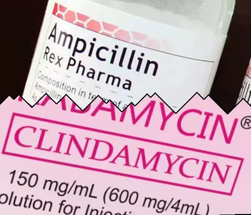 Ampicilina contra Clindamicina