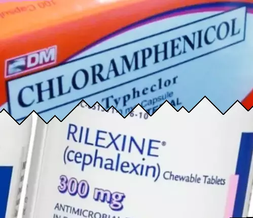 Cloranfenicol contra Cefalexina