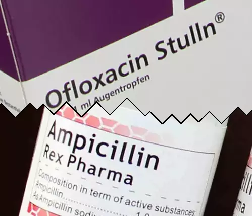 Ofloxacina contra Ampicilina